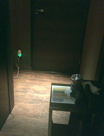 信太山新地銀猫
